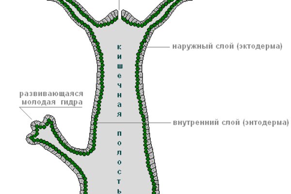 Где найти рабочую ссылку на кракен