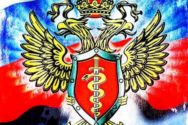 Кракен что можно купить